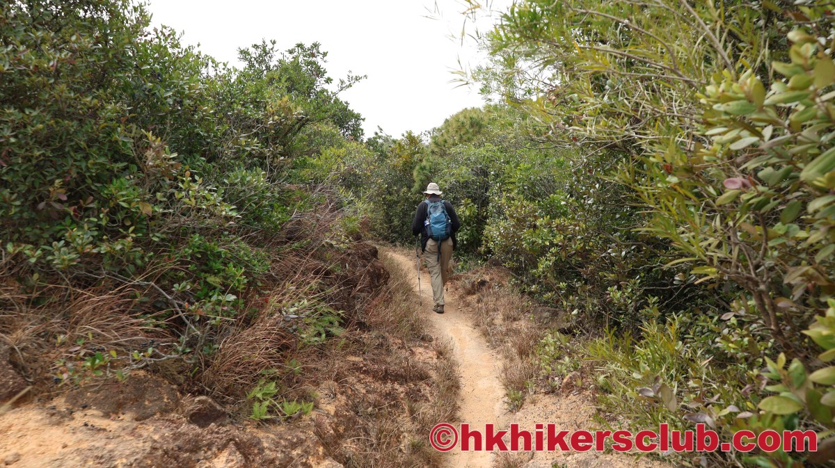 Testing with new display that don't work