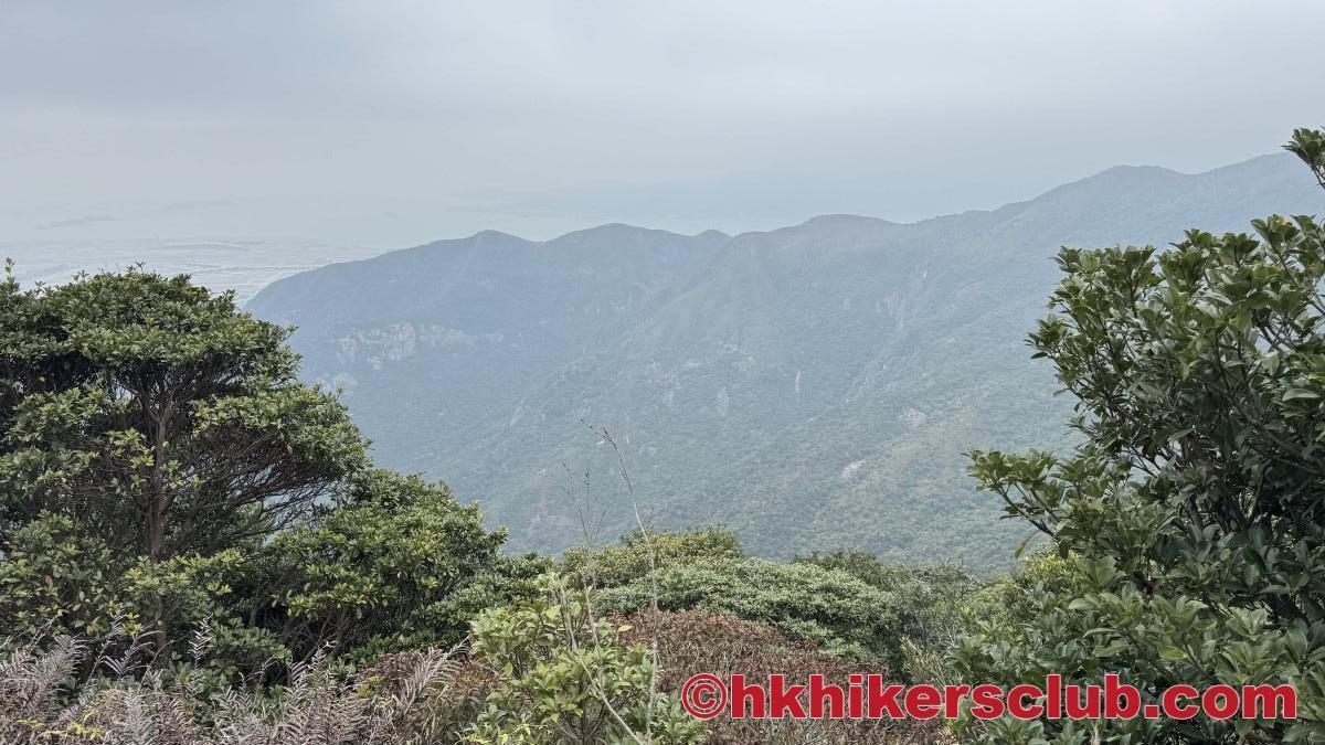 Fan 2 Lau (分流) 2025