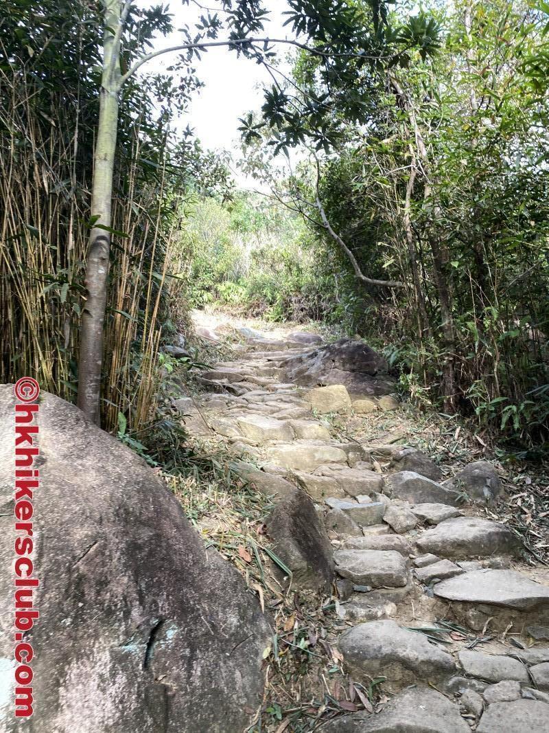 Fan 2 Lau (分流) 2025