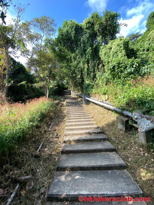 Fan 2 Lau (分流) 2025